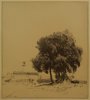 1937 Monterotondo (studio con albero)